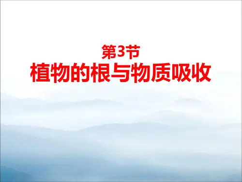 《植物的根与物质吸收》PPT【优秀课件PPT】