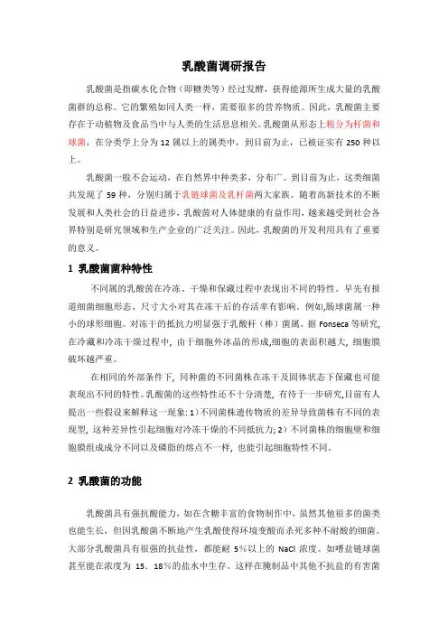 乳酸菌调研报告