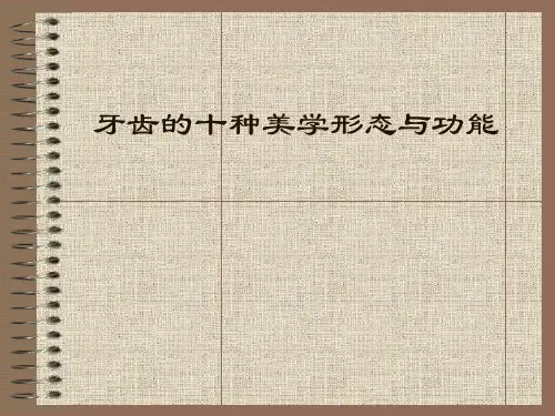 牙齿的十种美学形态与功能