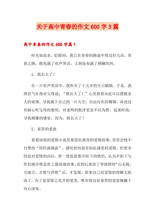关于高中青春的作文600字3篇