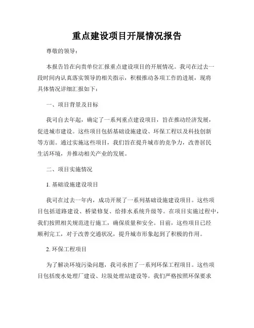 重点建设项目开展情况报告