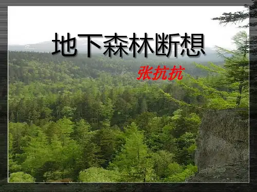 《地下森林断想》ppt课件
