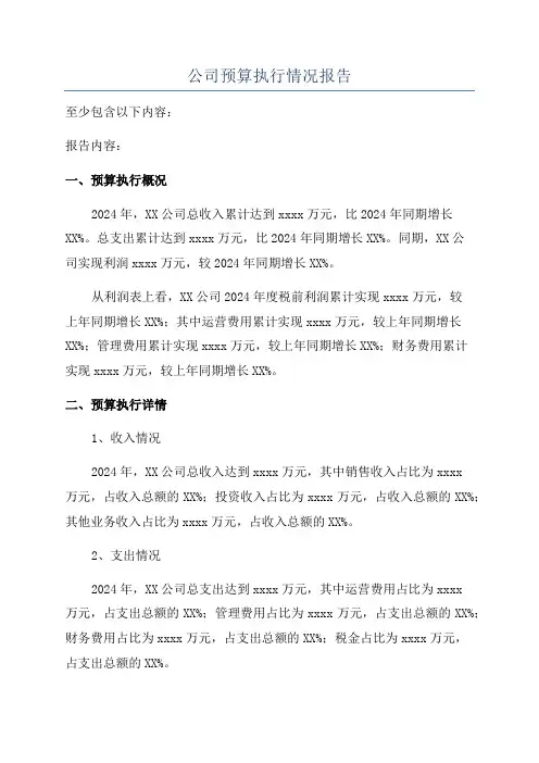 公司预算执行情况报告