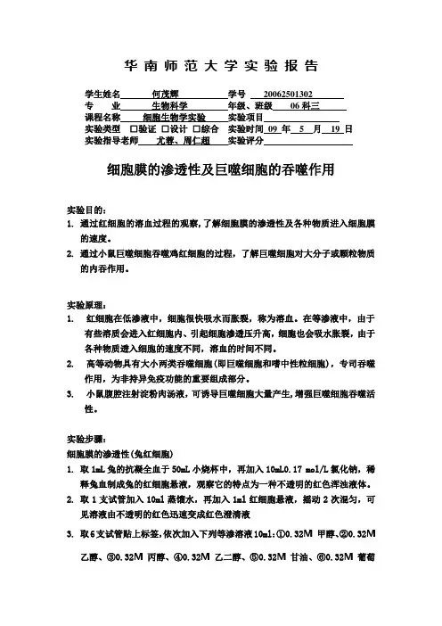 细胞膜的渗透性及巨噬细胞的吞噬作用
