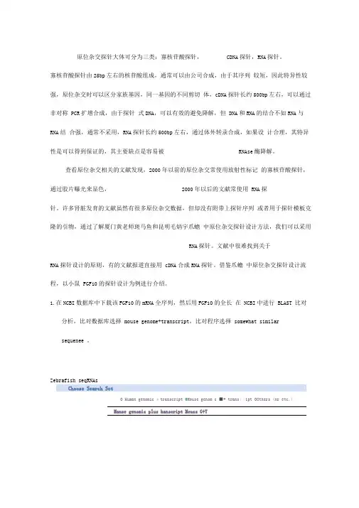 原位杂交探针设计原则