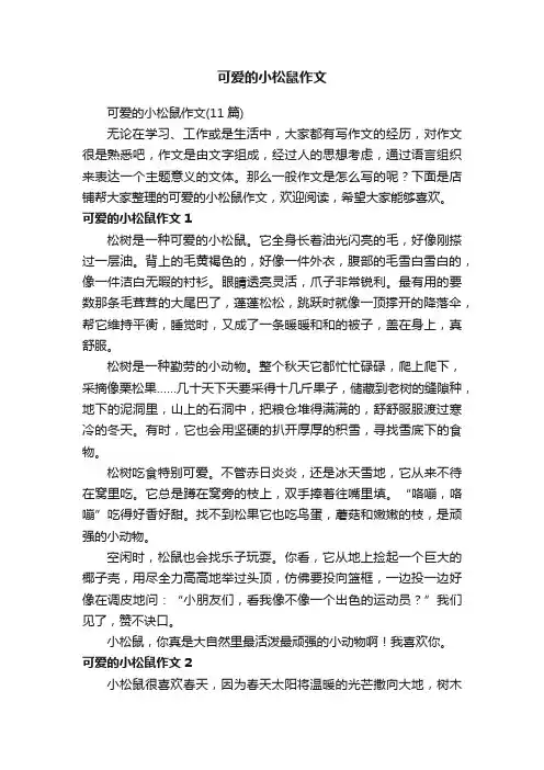 可爱的小松鼠作文