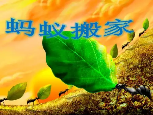 一年级美术上册课件-19. 蚂蚁搬家3-湘美版.pptx