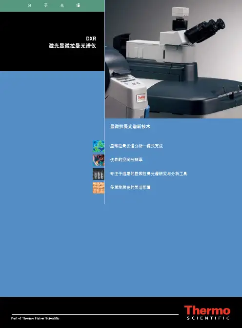DXR激光显微拉曼光谱仪