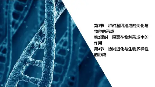 2022-2023学年  必修二 人教版 协同进化与生物多样性的形成 课件(75张)