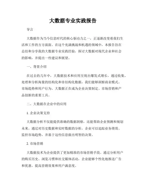 大数据专业实践报告