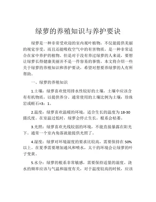 绿萝的养殖知识与养护要诀