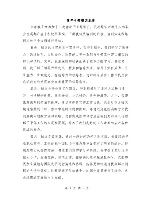 青年干部培训总结