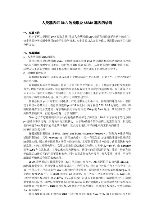 遗传学实验报告：人类基因组DNA的提取及SBMA基因的诊断