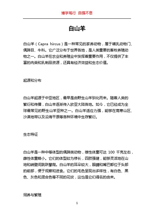 白山羊_精品文档