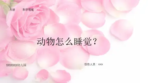 大班科学动物是怎样睡觉的课件