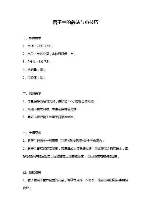 君子兰的养法与小技巧