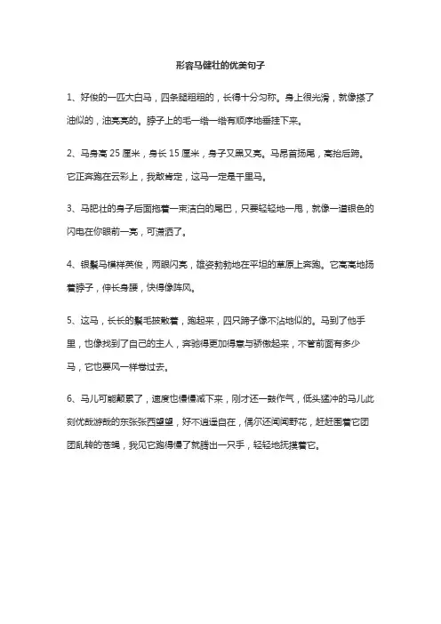 形容马健壮的优美句子
