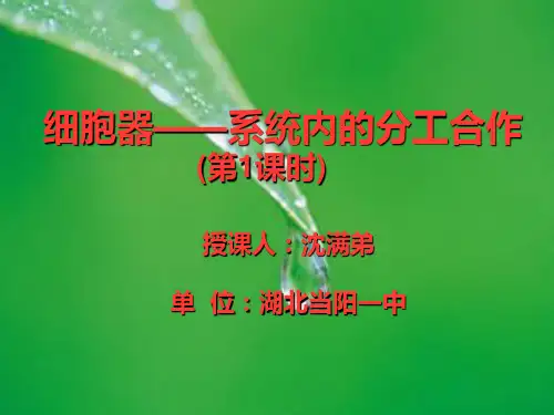 高中生物必修一 细胞器——系统内的分工合作