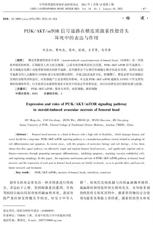 PI3KAKTmTOR信号通路在糖皮质激素性股骨头坏死中的表达与作用