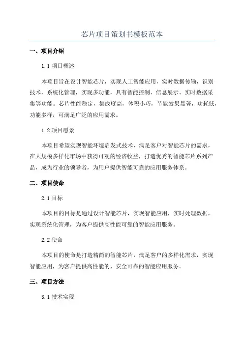 芯片项目策划书模板范本