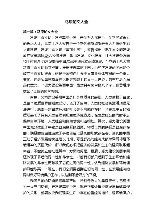 马原论文大全