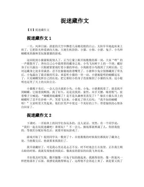捉迷藏作文
