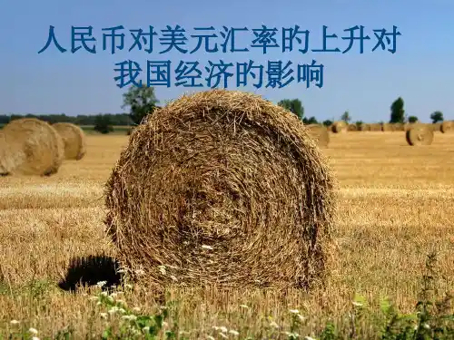 人民币对美元汇率的上升对我国经济的影响