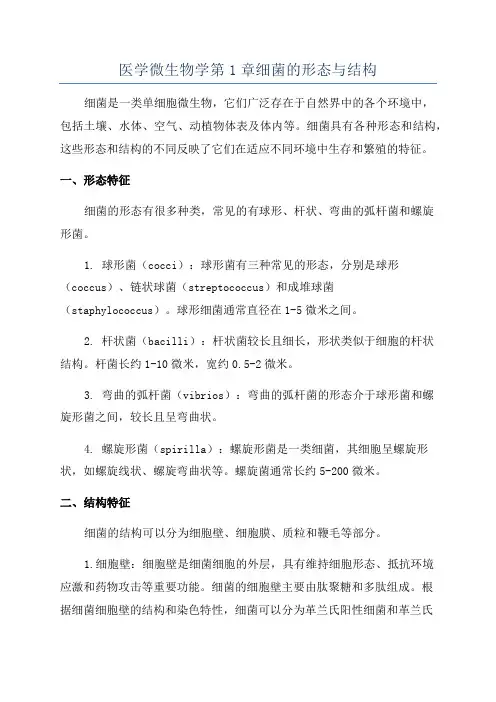 医学微生物学第1章细菌的形态与结构