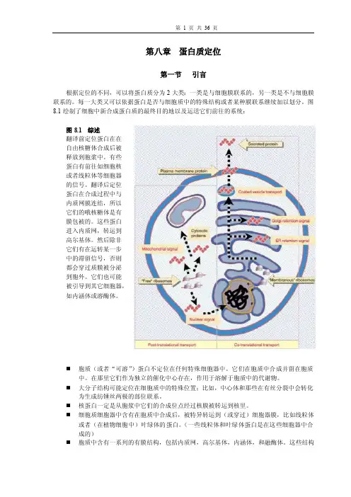 08-分子生物学作业1-第八章蛋白质定位