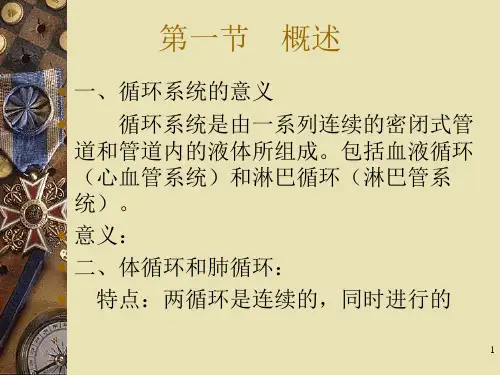 70第七章循环系统解剖精品文档50页
