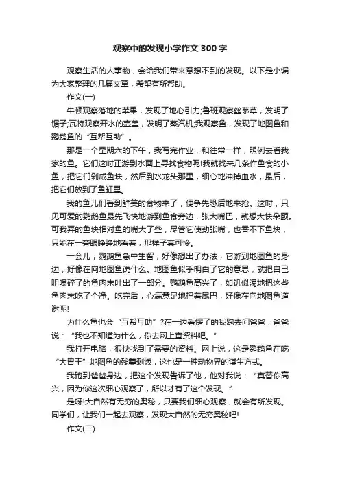 观察中的发现小学作文300字