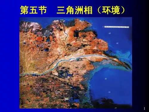 三角洲相-luo