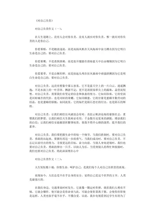 对自己负责(作文15篇)