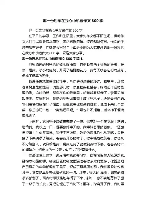那一份思念在我心中珍藏作文800字