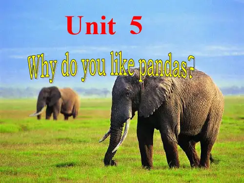 人教英语七年级下册Unit5SectionB 2a-2c(共32张PPT)