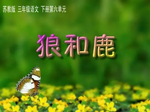《狼和鹿》PPT课件(苏教版三年级语文下册课件)2013
