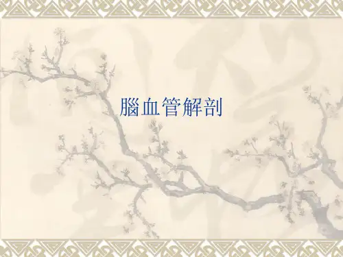 脑血管应用解剖课件