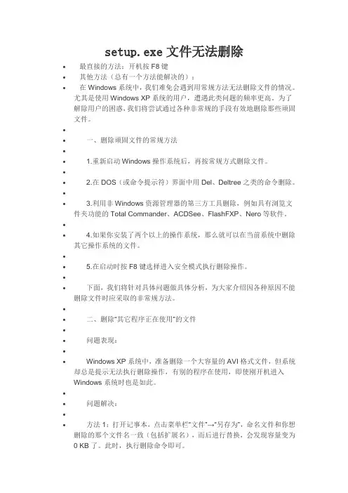 setup.exe文件无法删除