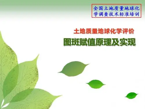 土地质量地球化学评价之图斑赋值原理及应用