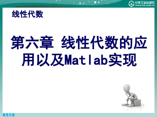 第六章  线性代数的应用以及Matlab实现