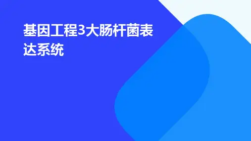 基因工程3大肠杆菌表达系统
