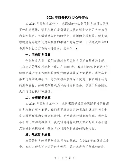 2024年财务执行力心得体会