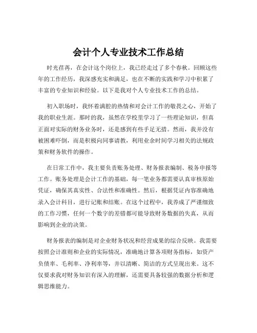 会计个人专业技术工作总结