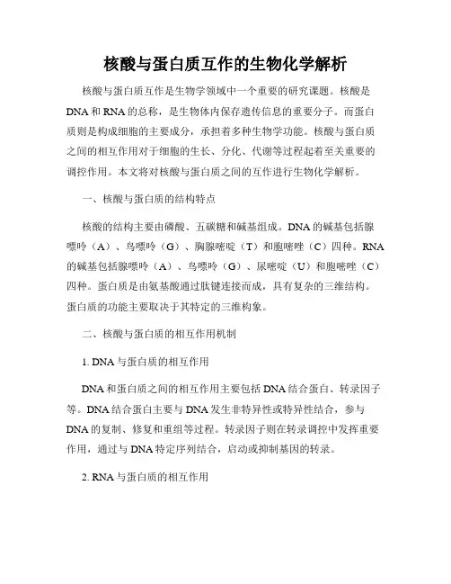 核酸与蛋白质互作的生物化学解析