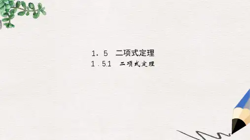高中数学苏教版选修2-3第1章《计数原理》(1-5-1)ppt课件
