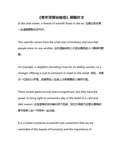 《寒冬里那丝暖意》梗概作文