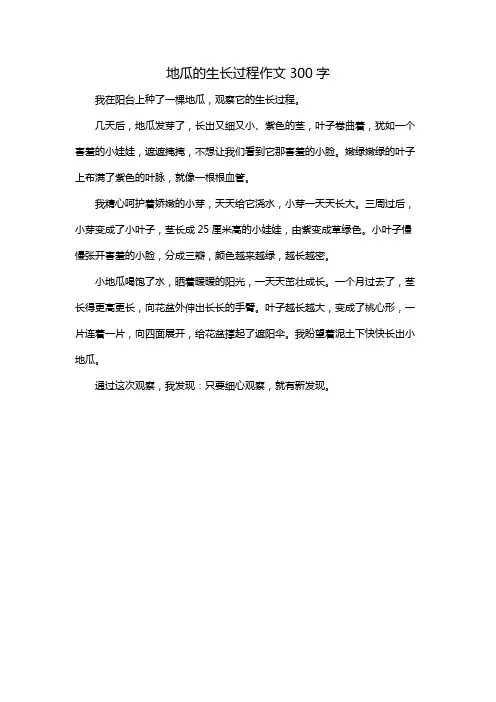 地瓜的生长过程作文300字