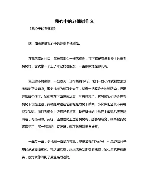 我心中的老槐树作文