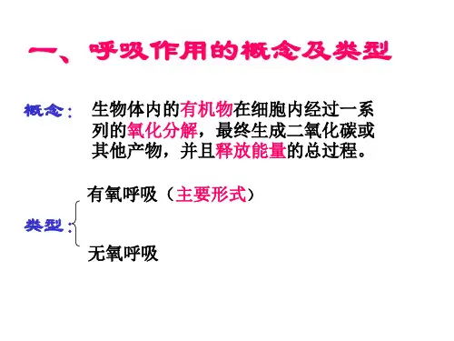 呼吸作用过程PPT课件