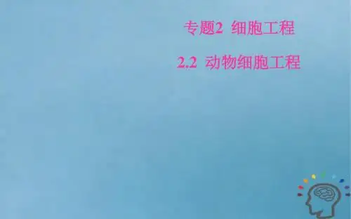 2018_2019学年高中生物专题2细胞工程2.2动物细胞工程2.2.2动物细胞融合与单克隆抗体课件新人教版选修3